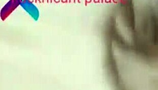 stepmom moans loud riding stepson's cock while dad is out full vid