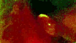 i crave these backshots on juicy pussy creampie dripping everywhere