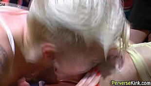 Piss Guzzling Hoes Feel Ravaged Ecstasy