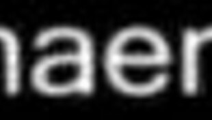 skinny babes and pornstars heat up the lesbian party scene