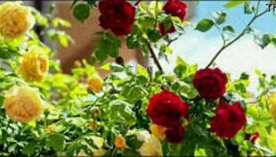 bangla romantic sex story part 2 gets emotional with cute friends ❤️😘