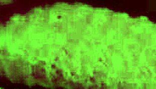 damn this italian milf artemisia loves bouncing her huge natural tits solo