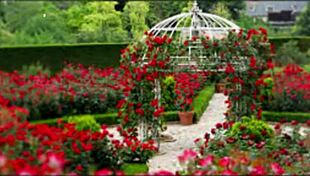 bangla romantic sex story part 2 gets emotional with cute friends ❤️😘