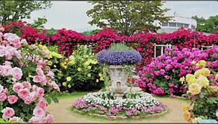 bangla romantic sex story part 2 gets emotional with cute friends ❤️😘