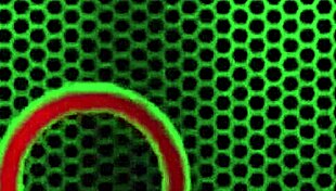 Natalia Star Rams Dildo in Pussy by Grand Piano