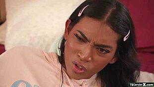 sucking tgirl cock before anal ass fuck
