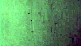 Dark Lantern delivers two centuries of vintage pussy pounding