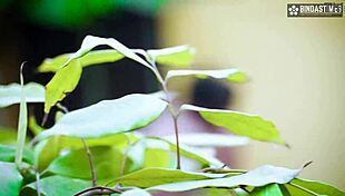 pati ke chhote bhai ne bhabhi ko ghar pe chod diya jab bhaiya gaye... maja aa gaya!