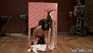 Busty Babes Grind on Sybian Machines Christmas Style