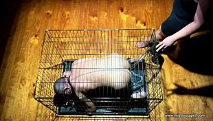 Mistress April owns Ms Kittens patient in cock clinic! 😈🍆