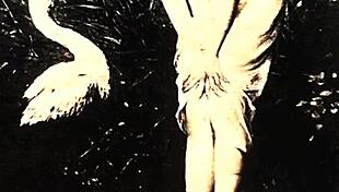 vintage erotic art unfolds antique retro scenes of desire