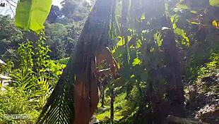 A naked girl poses boldly amid amazon jungle's wild voyeur trails