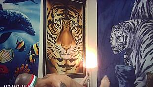 Maxxx Loadz pounds asian pussy backstage