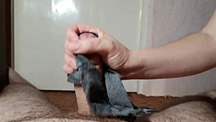 korean milf teases panty handjob up close homemade