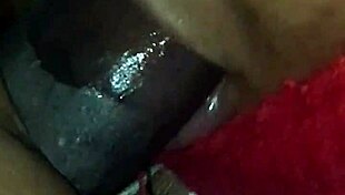 Intense BBC Suck Frenzy