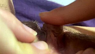 huge clit throbs in closeup homemade orgasm explosion