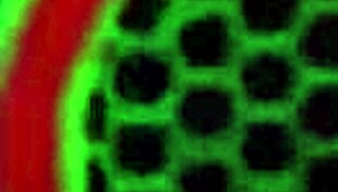 mature redhead poolside ass destroyed by two bbcs fellatio masters