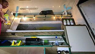 sexy skirt lift reveals perfect shaved pussy on hot day