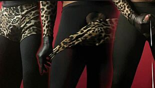 Seductive striptease hides wild sensual moves and teasing display underneath