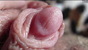 watch this big clit throb and explode in orgasm closeup!!