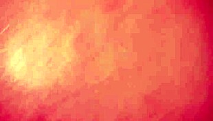 nepali xada couple unleashes dirty talk fucking in australia with big cock pussy pounding