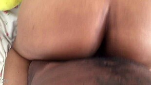 King rabbit toy pounds tinka bent over doggystyle