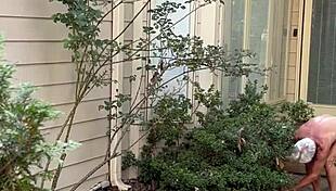 hey i was out naked gardening again flashing everything in the yard...oops