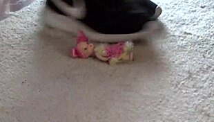 Giantess fuck doll crushes everything under her huge fetish body