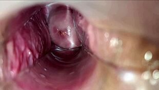 HD Vagina Walls Pulsate During Intense Orgasm Close-Up