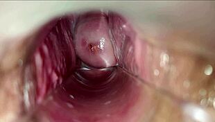 HD Vagina Walls Pulsate During Intense Orgasm Close-Up