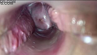 HD Vagina Walls Pulsate During Intense Orgasm Close-Up