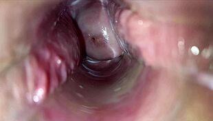 HD Vagina Walls Pulsate During Intense Orgasm Close-Up