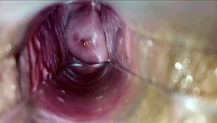 HD Vagina Walls Pulsate During Intense Orgasm Close-Up