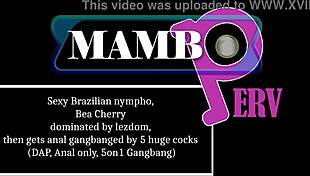 Hey sexy Brazilian nympho Bea Cherry, drink this then take DAP anal gangbang from 5 huge cocks!