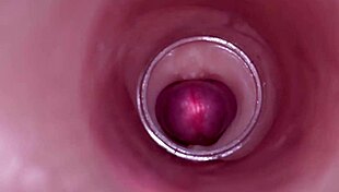 Watch internal camera capture deep creampie insemination in tight wet bbw pussy!