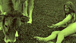 dark lantern uncovers victorian gentleman's secret erotic confessions