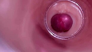 Watch internal camera capture deep creampie insemination in tight wet bbw pussy!