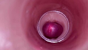 Watch internal camera capture deep creampie insemination in tight wet bbw pussy!