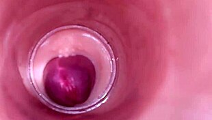 Watch internal camera capture deep creampie insemination in tight wet bbw pussy!