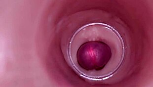 Watch internal camera capture deep creampie insemination in tight wet bbw pussy!