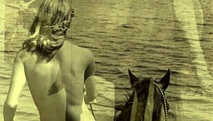 dark lantern uncovers victorian gentleman's secret erotic confessions