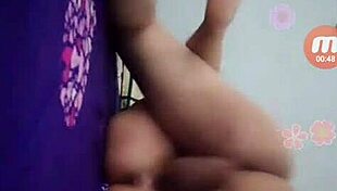 asian japanese korean lovers making passionate love