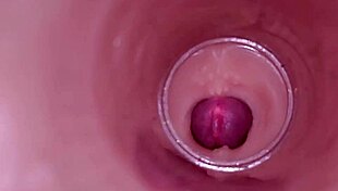 Watch internal camera capture deep creampie insemination in tight wet bbw pussy!