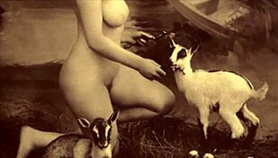 dark lantern uncovers victorian gentleman's secret erotic confessions