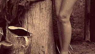 dark lantern uncovers victorian gentleman's secret erotic confessions