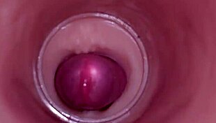 Watch internal camera capture deep creampie insemination in tight wet bbw pussy!