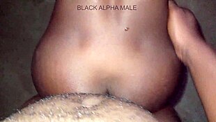 this ebony prostitute loves doggy style fucking watch full vid on sheer membership!