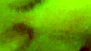 i couldn't hold back as my wife sucked me dry and took my cumshot on her face