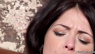 Hogtied Beauty Teased by Massive Dildo Probe