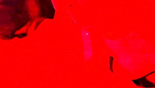 extreme close up blowjob finishes with slut swallowing mouthful cum
